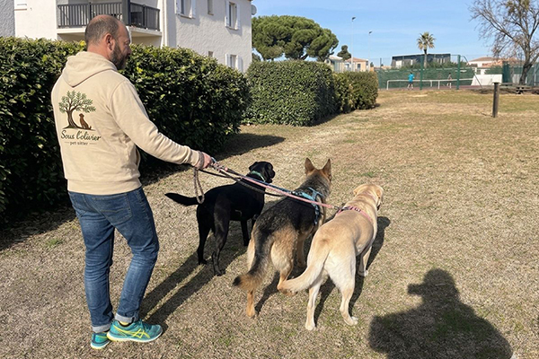 dog_walker_petsitter34